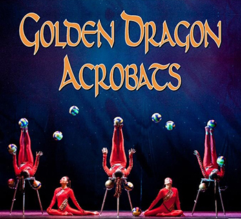 The Golden Dragon Acrobats
