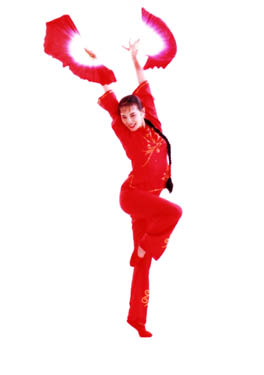 Yu Wei's Chinese Dance & Culture (NEW)