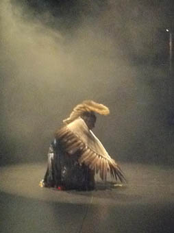 Native Pride Dancers